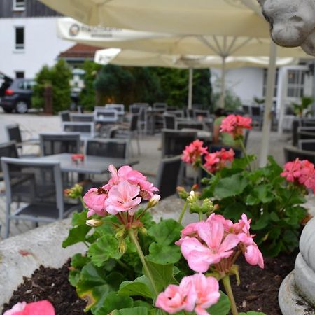 Hotel Am Pfahl Viechtach Exterior photo